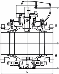 鍛鋼固定球閥結構圖